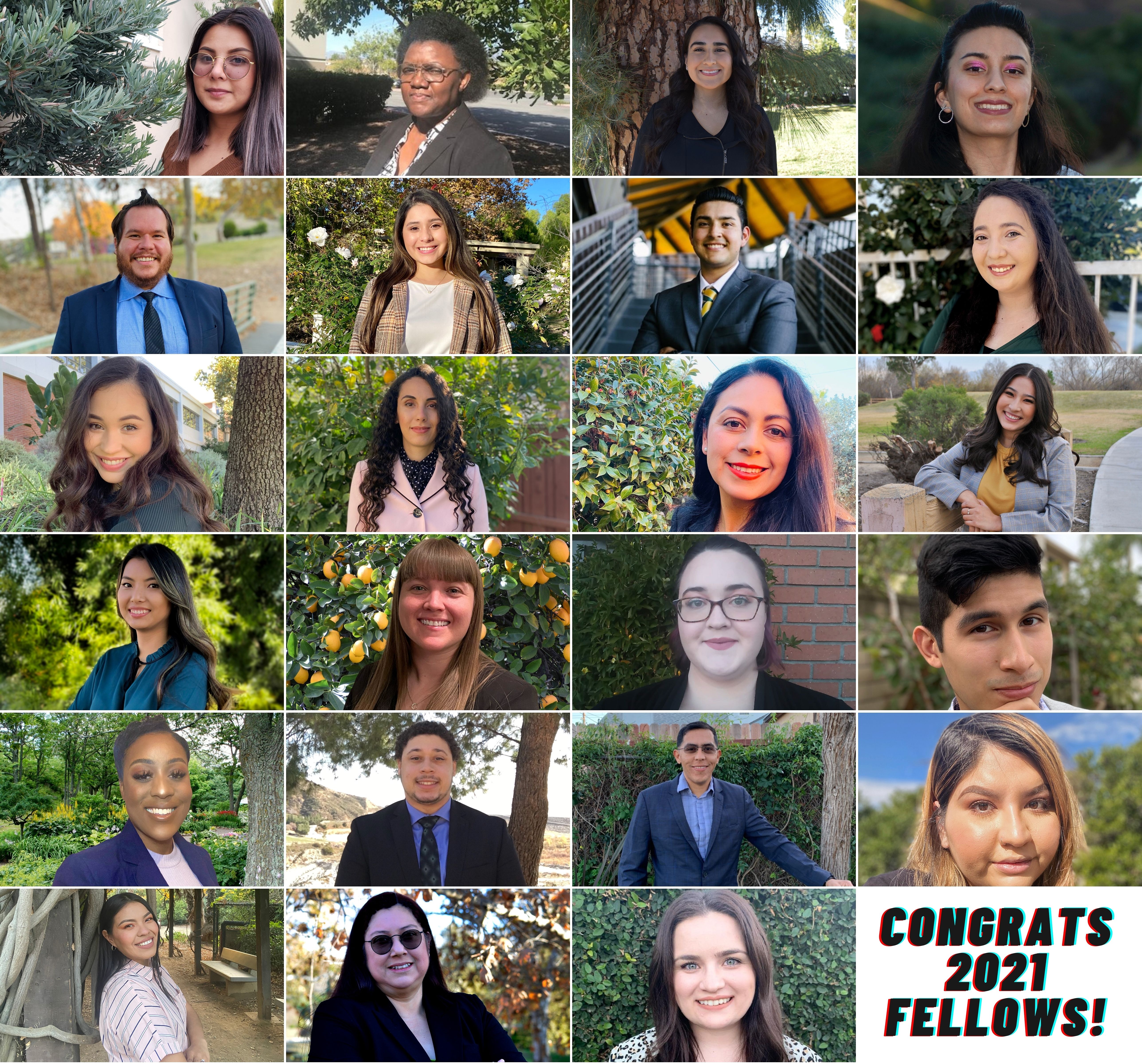 PIE 2021 Fellows