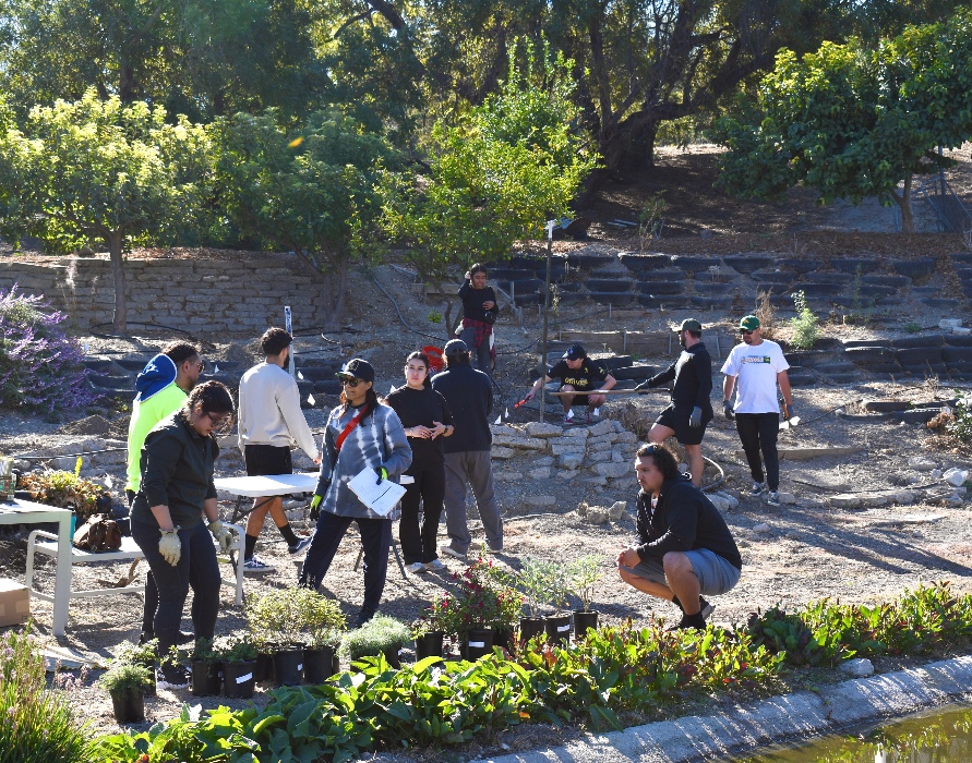 Dr. Anthony Pena and his Liberal Studies class at the Lyle Center working on a Lyle Center garden. 