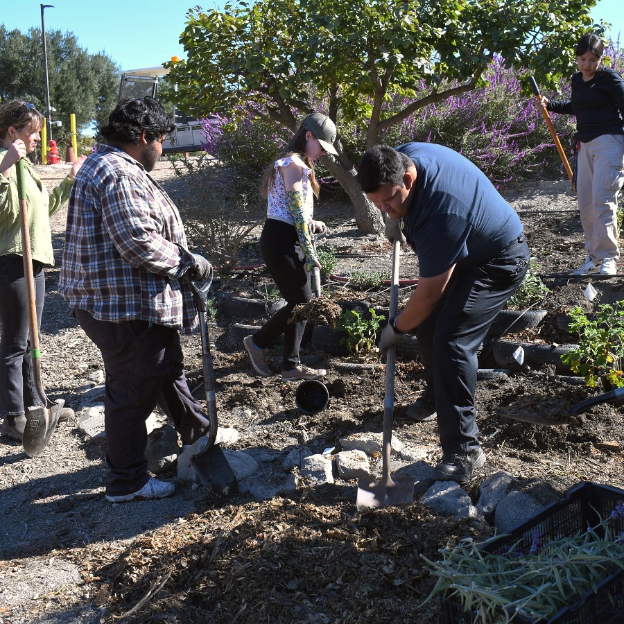 Dr. Anthony Pena's class working at the Lyle Center at a Lyle Center garden. 