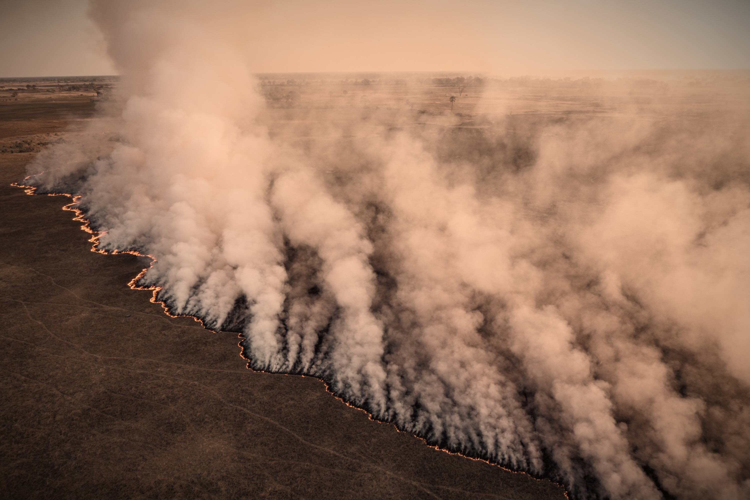 A drone shot of a wildfire ravaging through forest