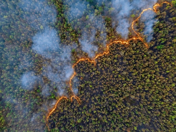 A drone shot of a wildfire ravaging through forest