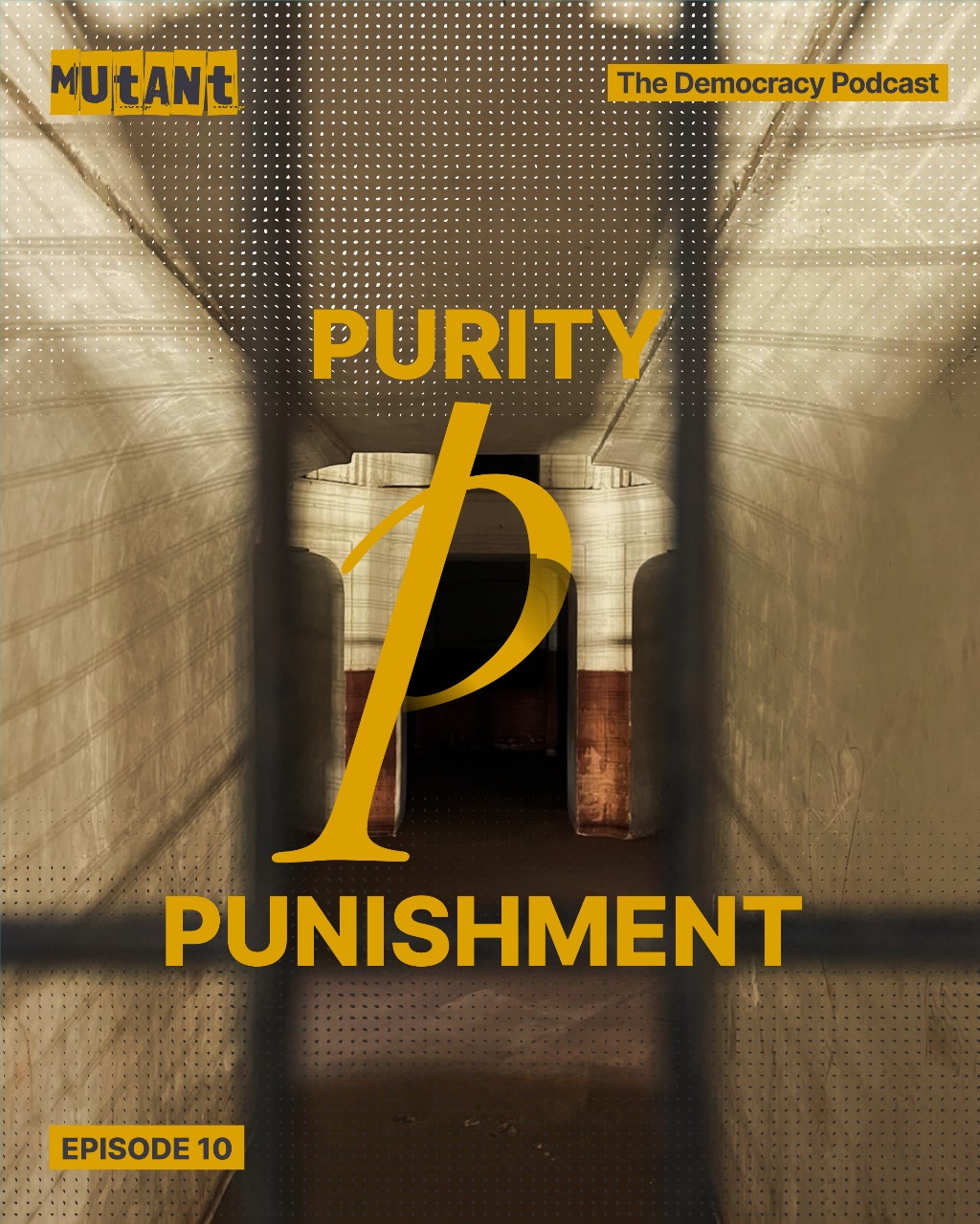 An image of an old monument in New Delhi with the words Purity and Punishment written over it