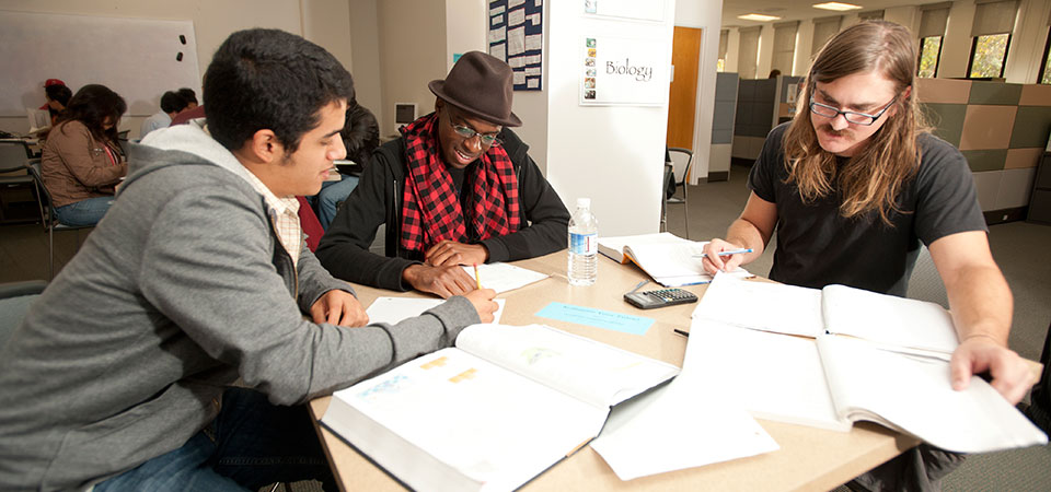 Students studying