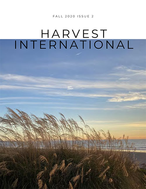 Cover of fall 2020 Harvest International issue: image of an ocean-front grassy dune at sunset