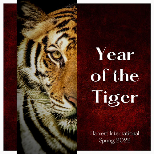Image of zine cover: a photo of half a tiger's face, with the other half covered by the words "Year of the Tiger. Harvest International, Spring 2022"