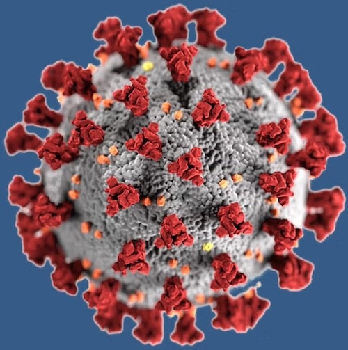 Coronavirus