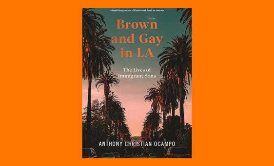 Book Cover of Brown and Gay in LA