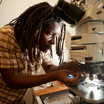 Young scientist does lab work