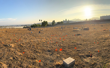 a cemetery site marked with red flags to excavate
