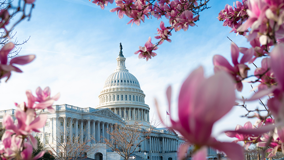 Capitol building in DC