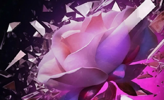 “Of Roses and Lillies”  Art