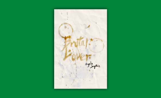 Book cover by Trujillo