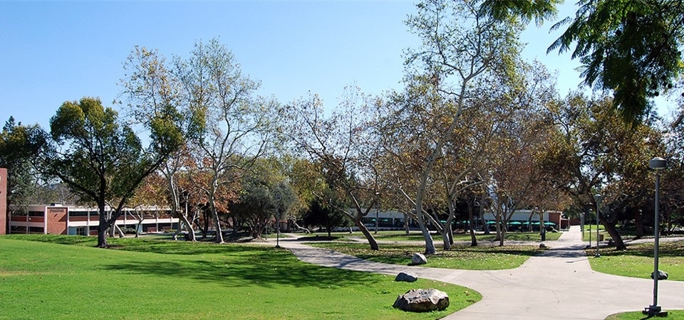 A photo of the University Quad