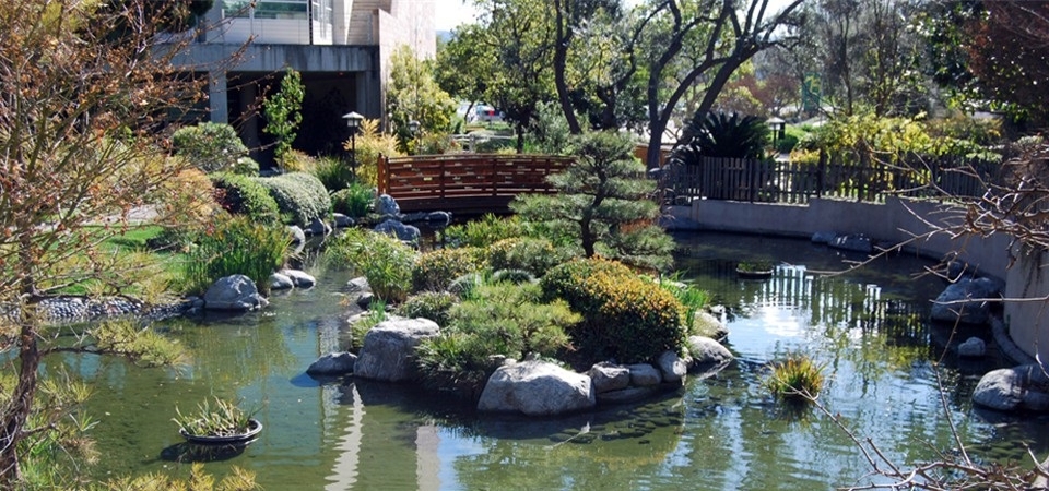 A photo of the Japanese Garden