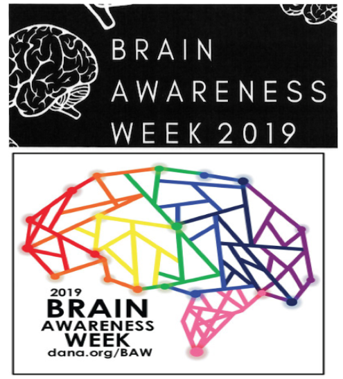 Image for Brain Awareness week