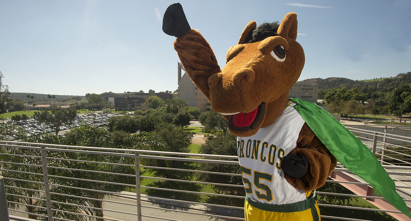 Billy Bronco Superhero