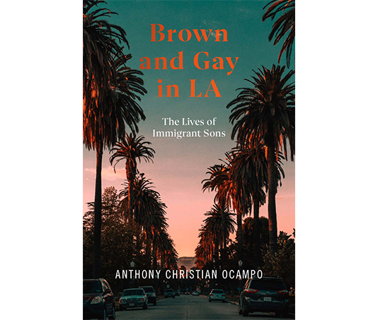 cover of brown and gay in LA