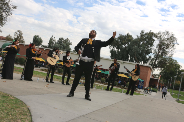 Mariachi band playing