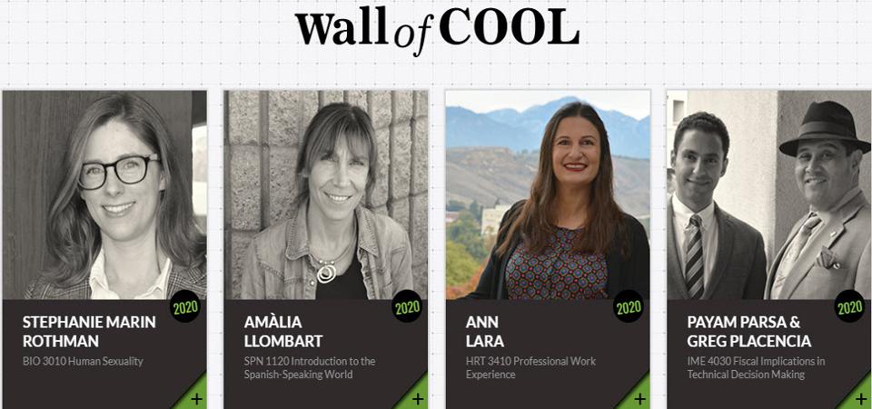 Ann Lara Named on 2020 Wall of COOL