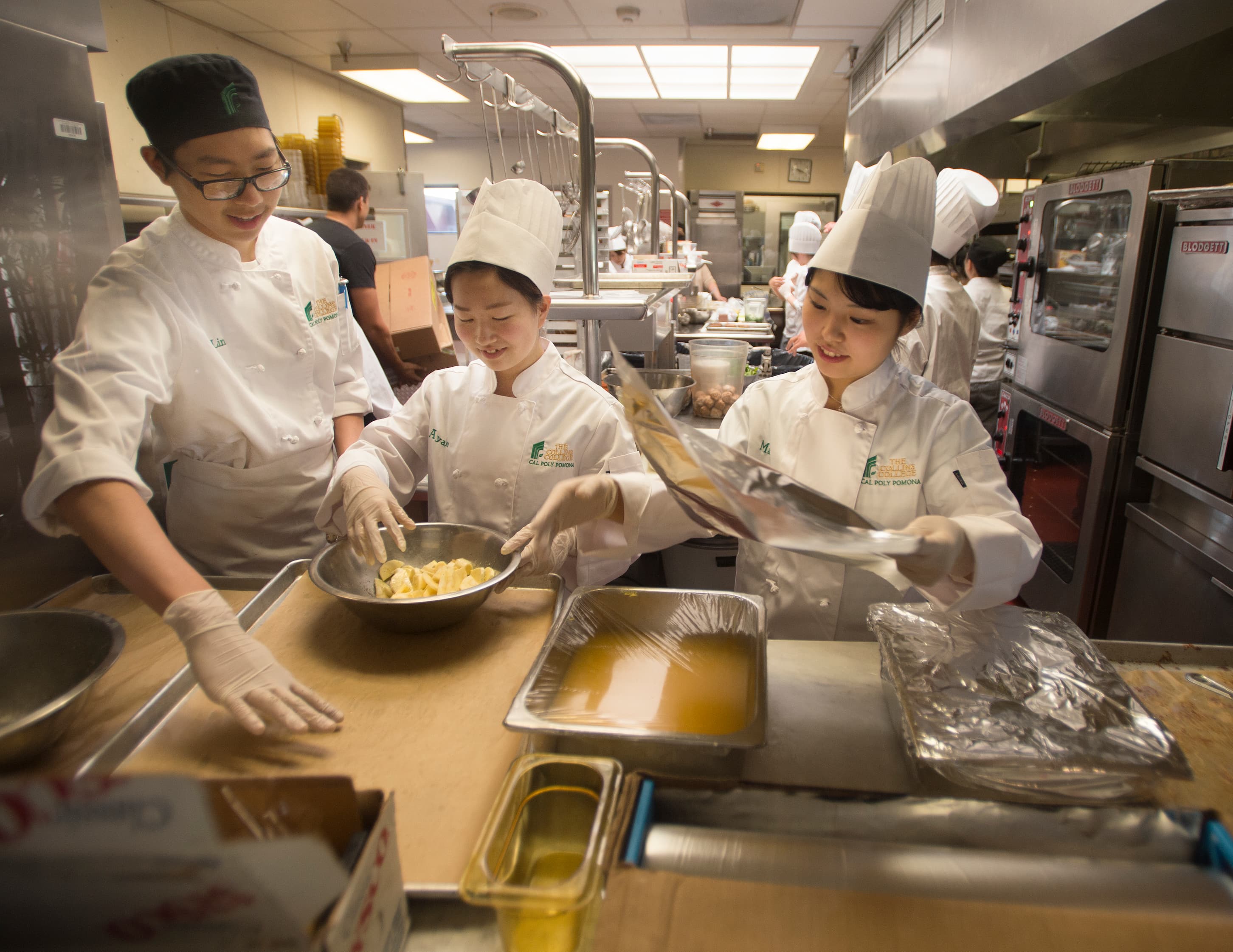 two collins students studying abroad in tokyo