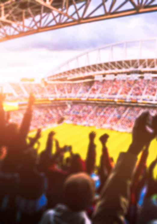 Fans celebrate at a Baseball Field