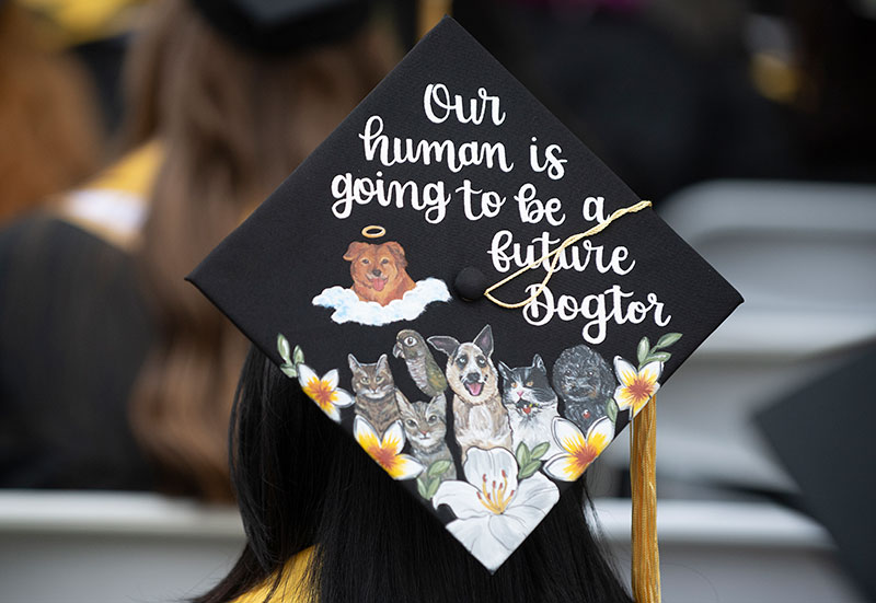 Mortar Board