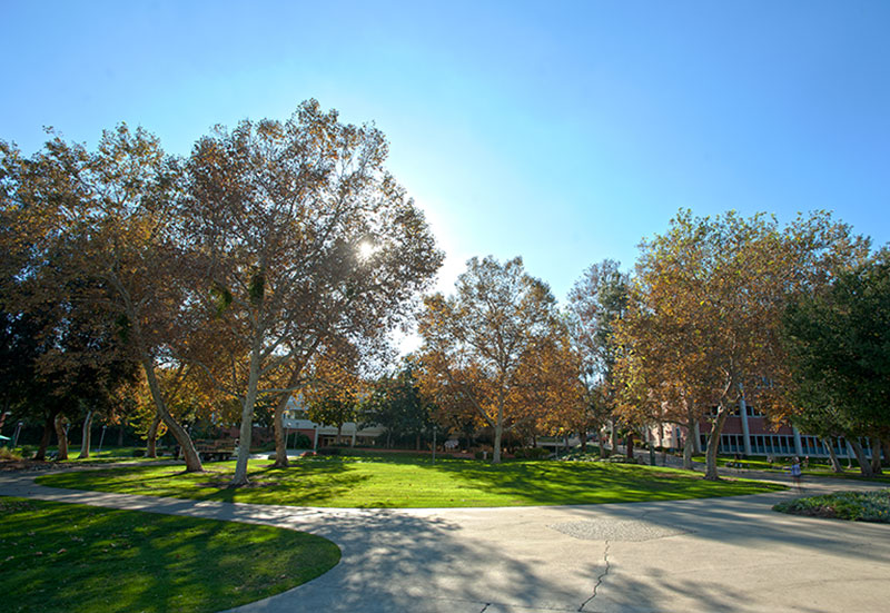 University Quad