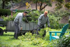 Facilities workers cut up tree that fell during windstorm,
