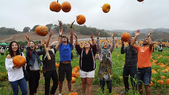 students in pumpkin field