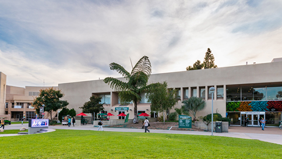 BSC CPP