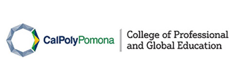 college-of-professional-global-education--logo