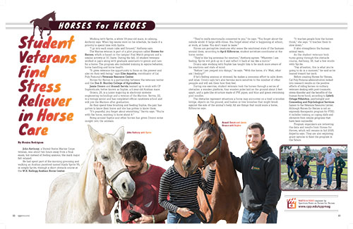 Screenshot of PDF story Horses for Heroes