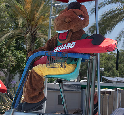 Billy Bronco lifeguard