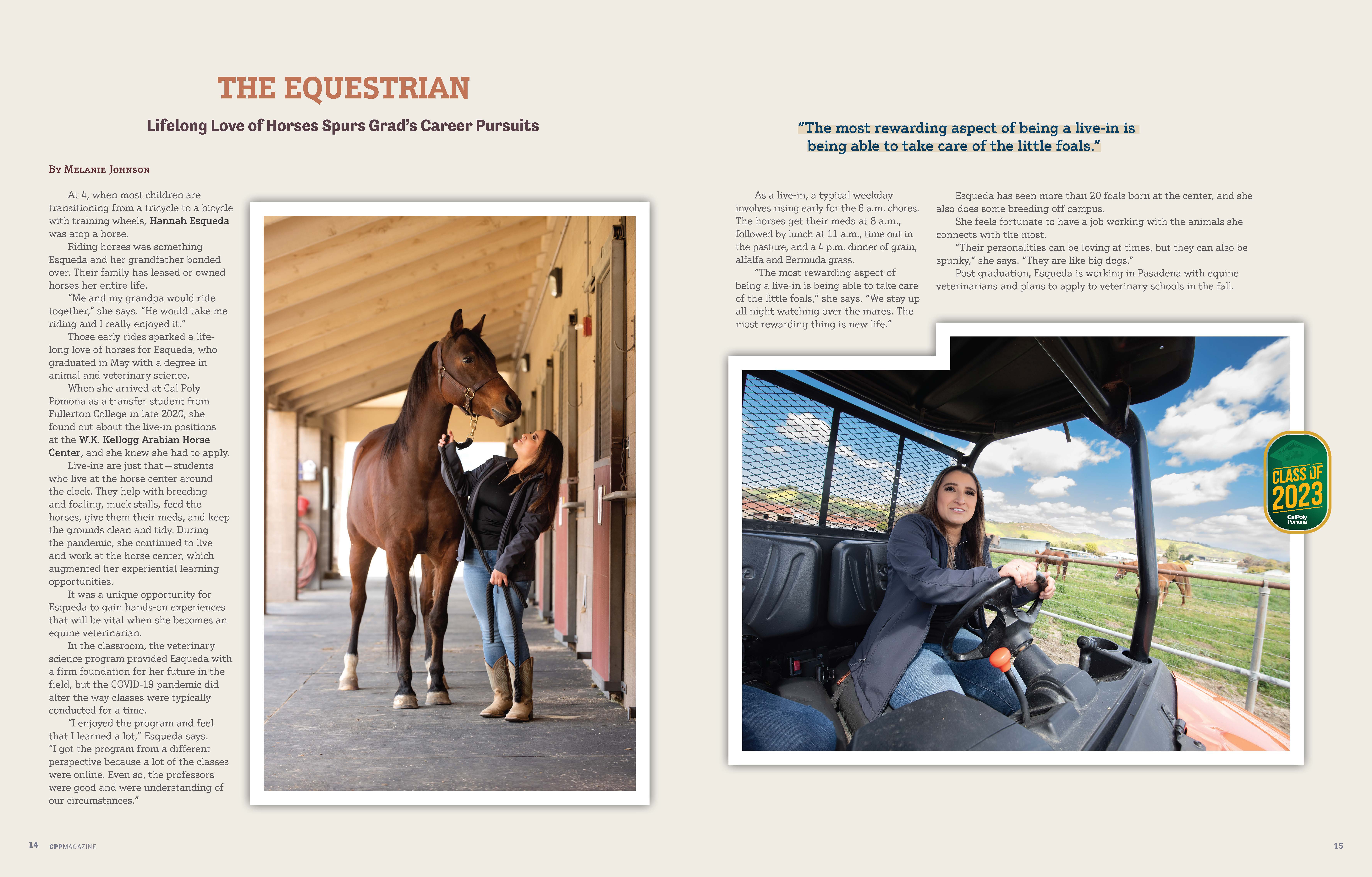 Screenshot of the Equestrian Story