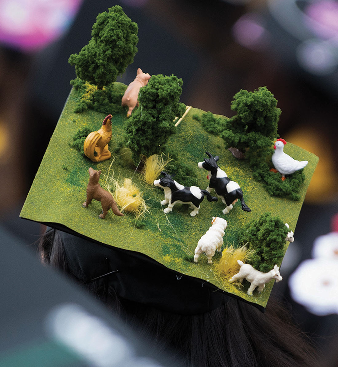 Mortarboard with Farm Animals