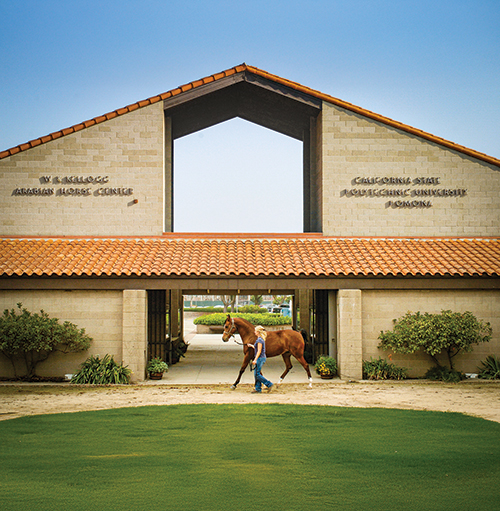 W.K. Kellogg Arabian Horse Center