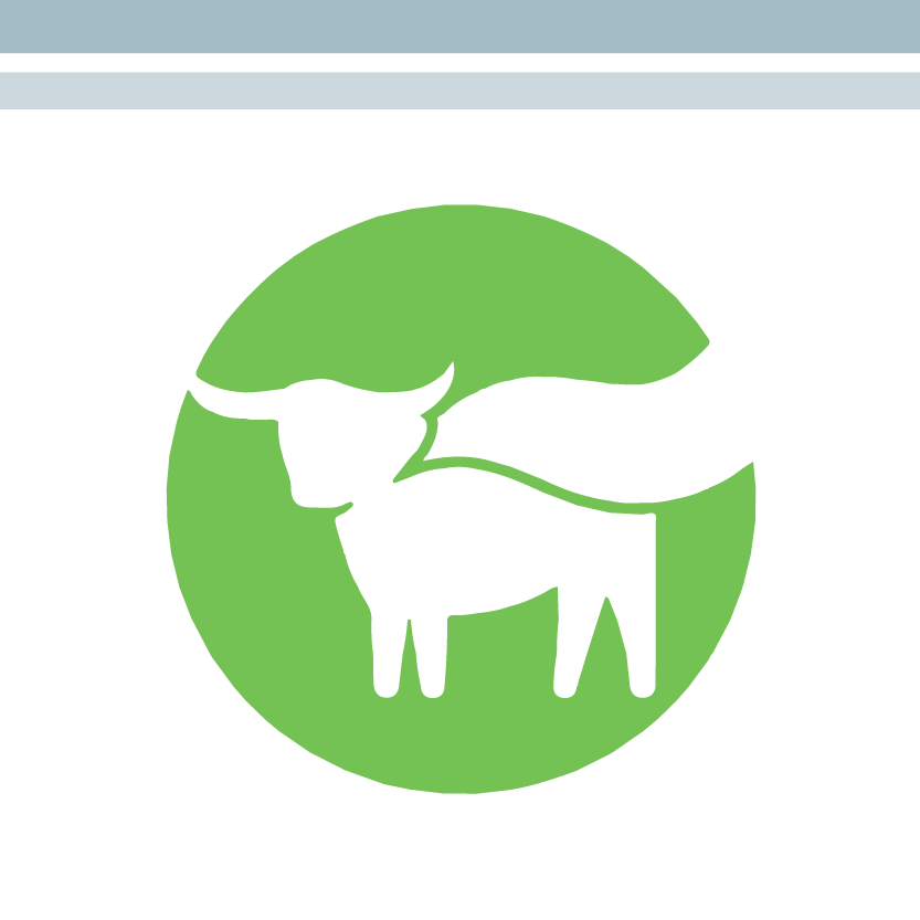 Cow with Cape