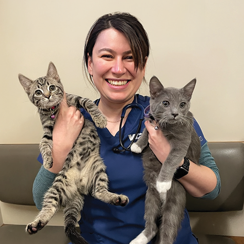 Haleh Golestani holding two cats.