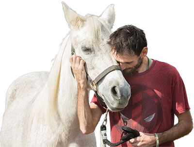 horses-for-heroes-anthony2.jpg