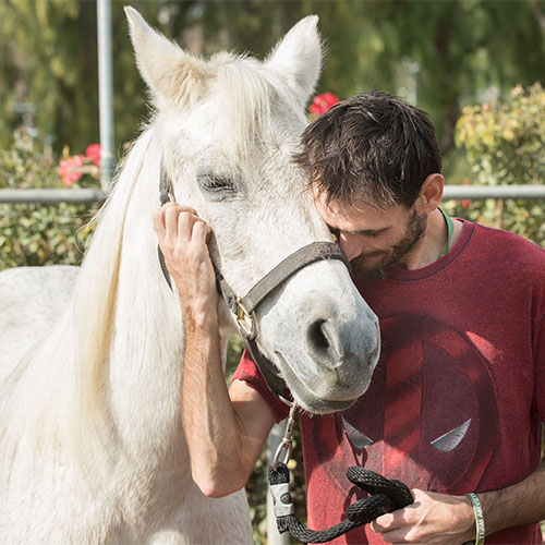 Marine Corp veteran John Anthony works with Sprite during Horses for Heroes