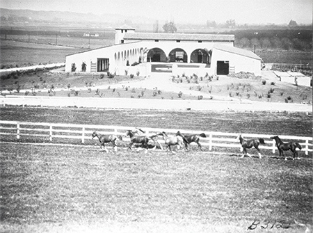 older photo of the Arabian Horse Center