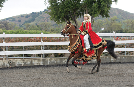 An Arabian horse and rider wearing traditional Arabian attire take center stage at the Sunday Show.