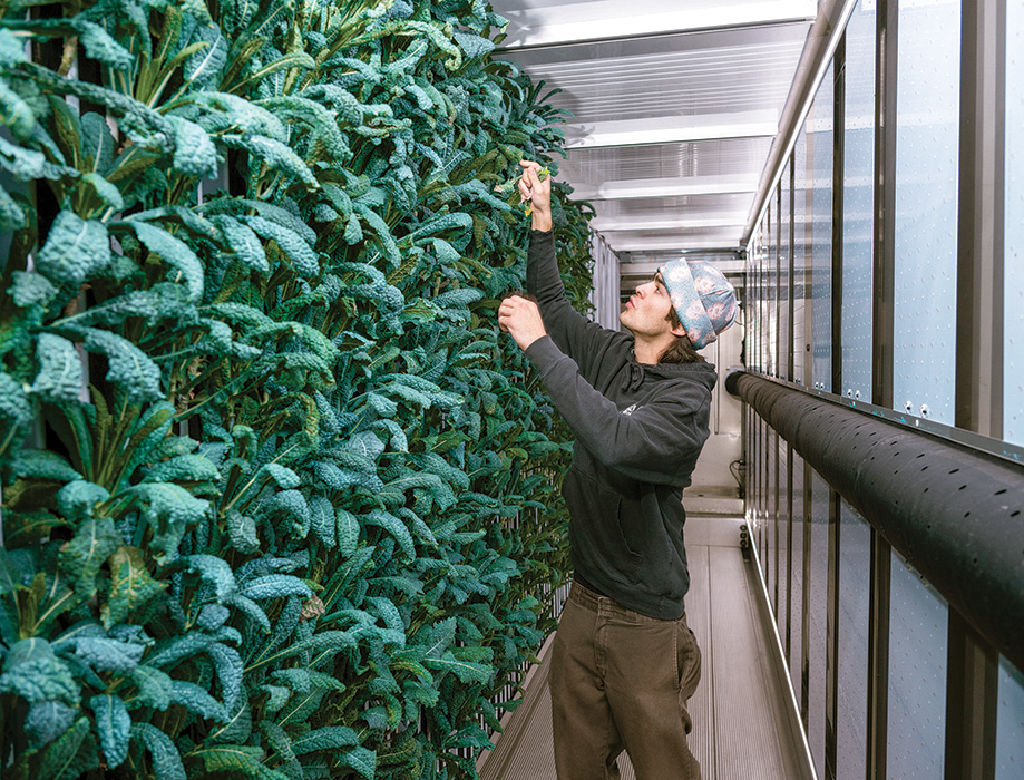 hane Wackerman, a senior plant science major, checks on kale growing in the Container Garden