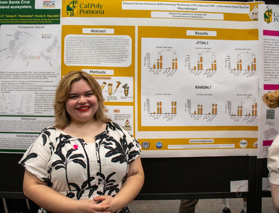 A student presenting her research at RSCA.