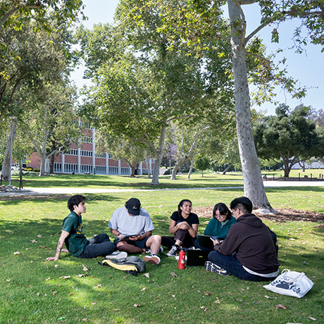 students studying in the university quad