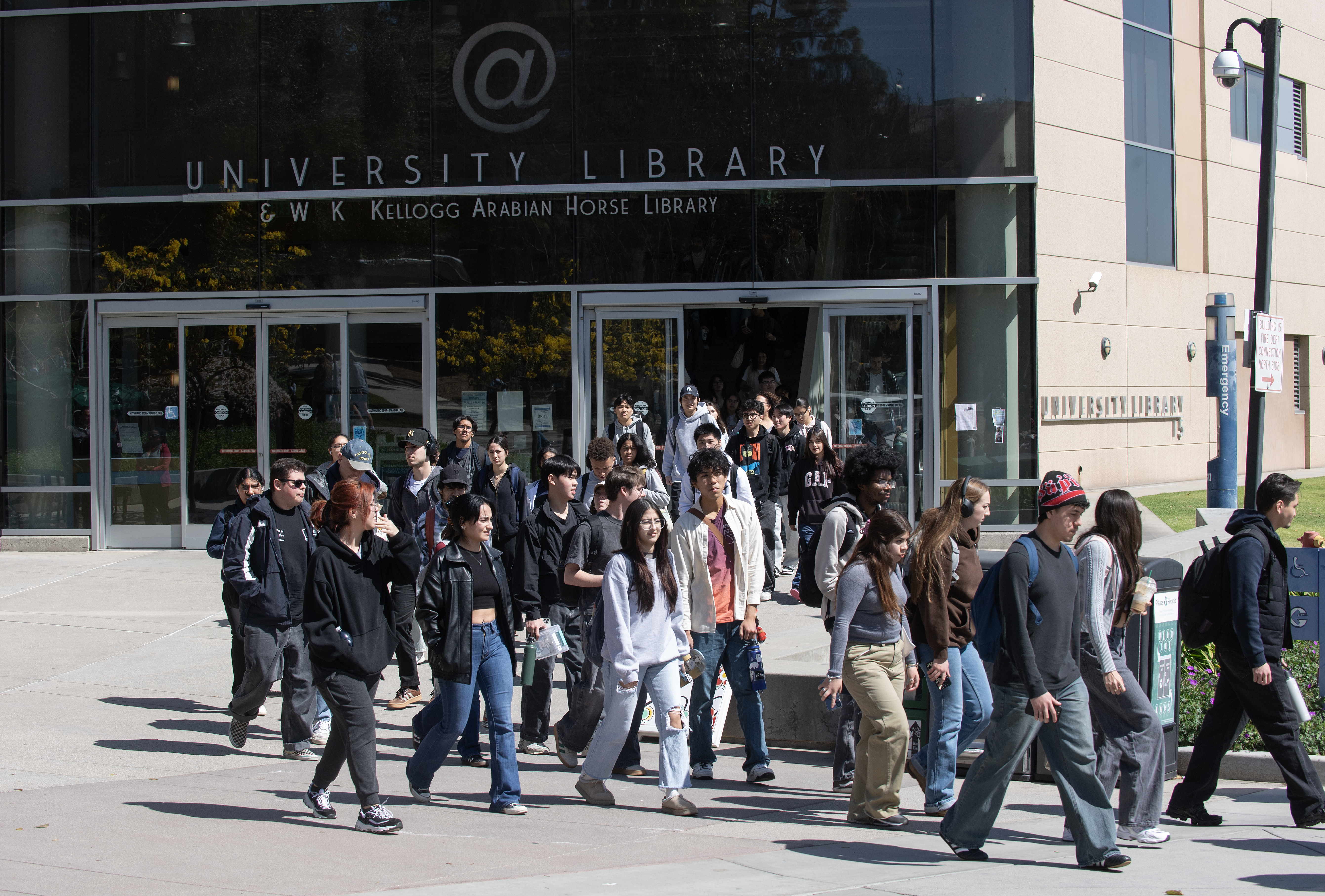 Students at a resource fair
