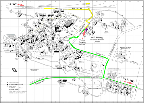 CPP black and white map representation