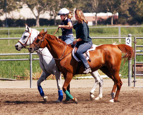 horse riding