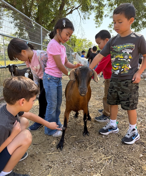 Campers at the Imagination Camp
