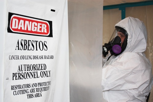 Person investigating asbestos 